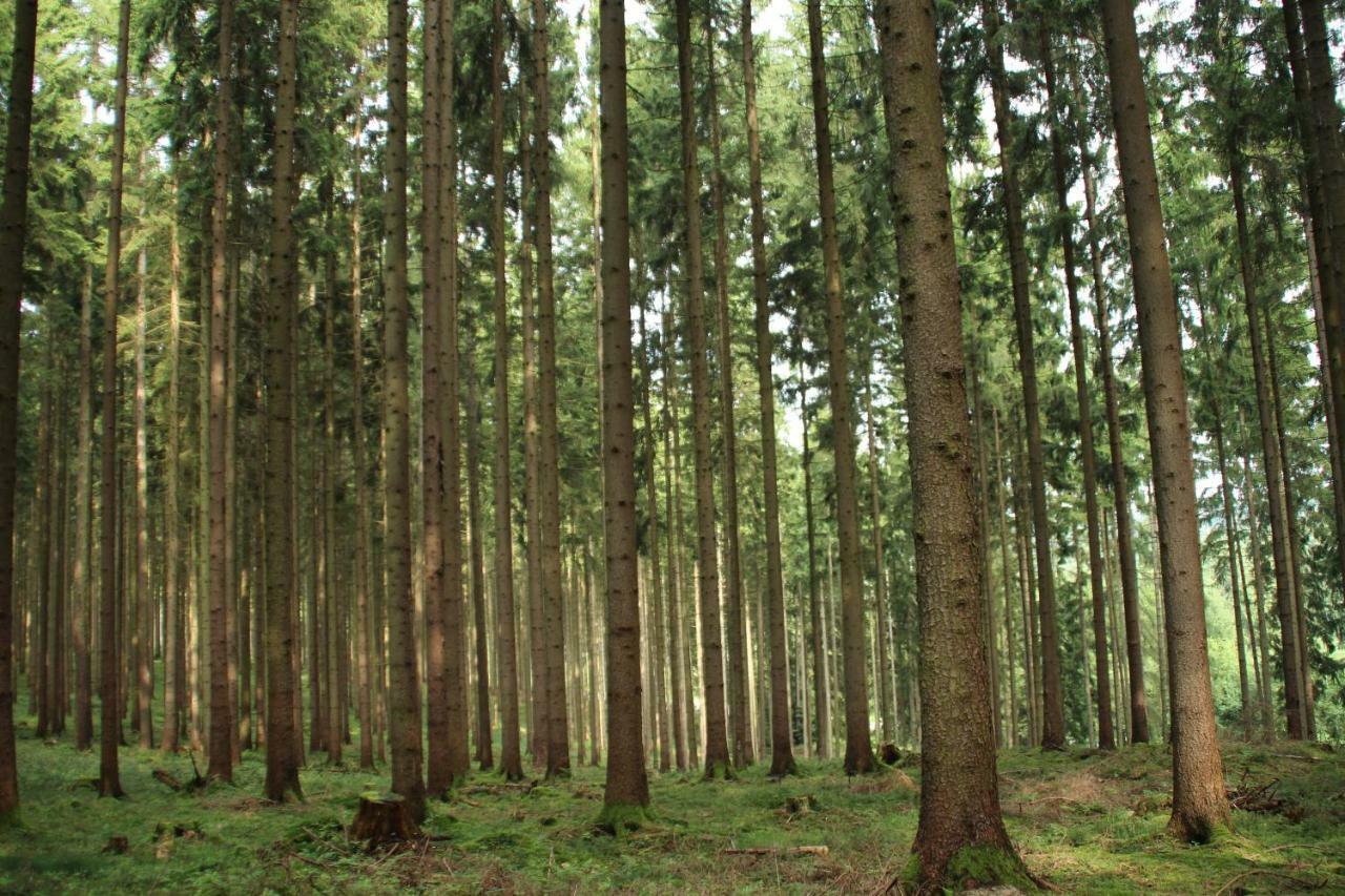 Ferienhaus "Gestiefelter Kater" Am See Im Bergland キルヒハイム エクステリア 写真